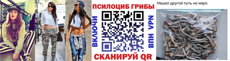 продажа наркотиков  гидра зеркало  Галлюциногенные грибы GOLDEN TEACHER  Вязьма 